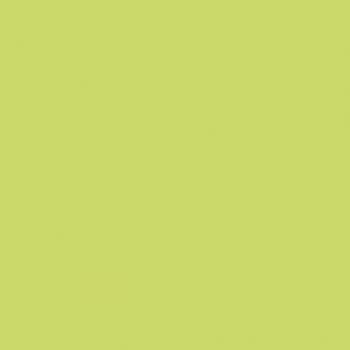 Formica 4177 Lime swatch