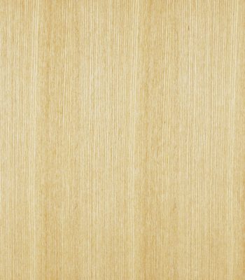 Japanese Ash QC 日本水曲柳 调色